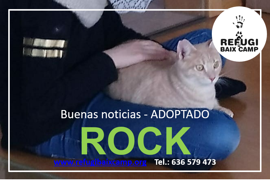 ROCK ADOPTADO